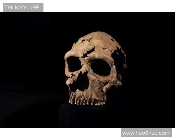 探索布莱克尼的魅力与历史深度,揭示其在文化与自然中的独特地位 探索布莱克尼的魅力与历史深度,揭示其在文化与自然中的独特地位