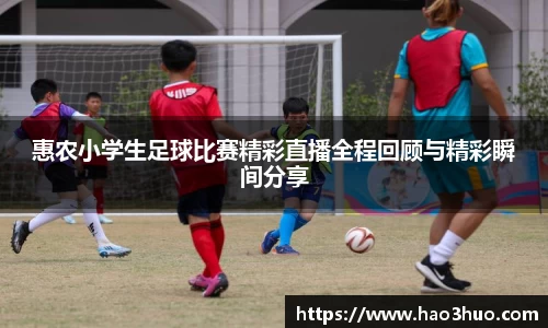 惠农小学生足球比赛精彩直播全程回顾与精彩瞬间分享