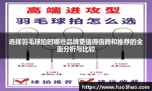 选择羽毛球拍时哪些品牌更值得信赖和推荐的全面分析与比较